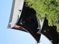 IMG_0792.JPG
